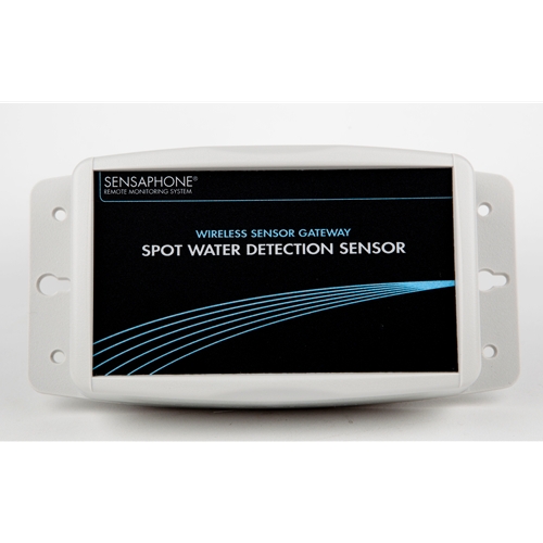 WSG Wireless Temperature Sensor with External Probe