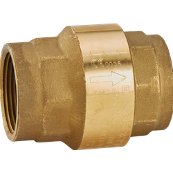 Leak Defense Check Valve